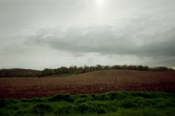 pic2