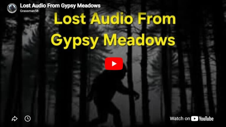 Lost Audio From Gypsy Meadows - Sasquatch Chronicles